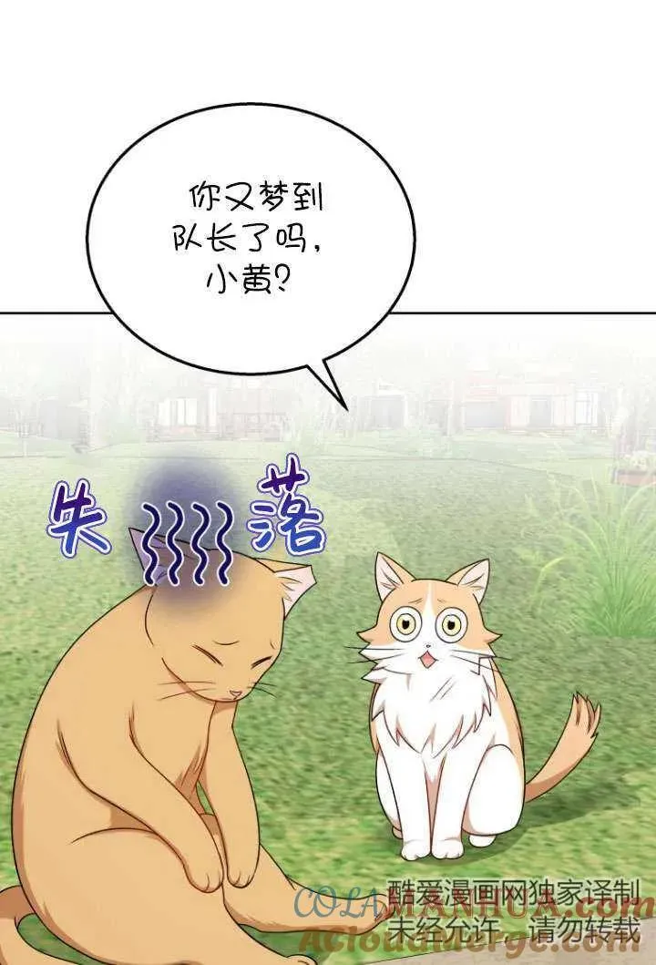 兽医先生你好漫画,第21话1图