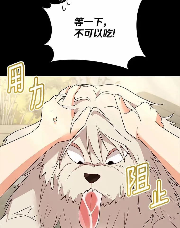 收衣先生漫画,56.你好？兽医先生！2图