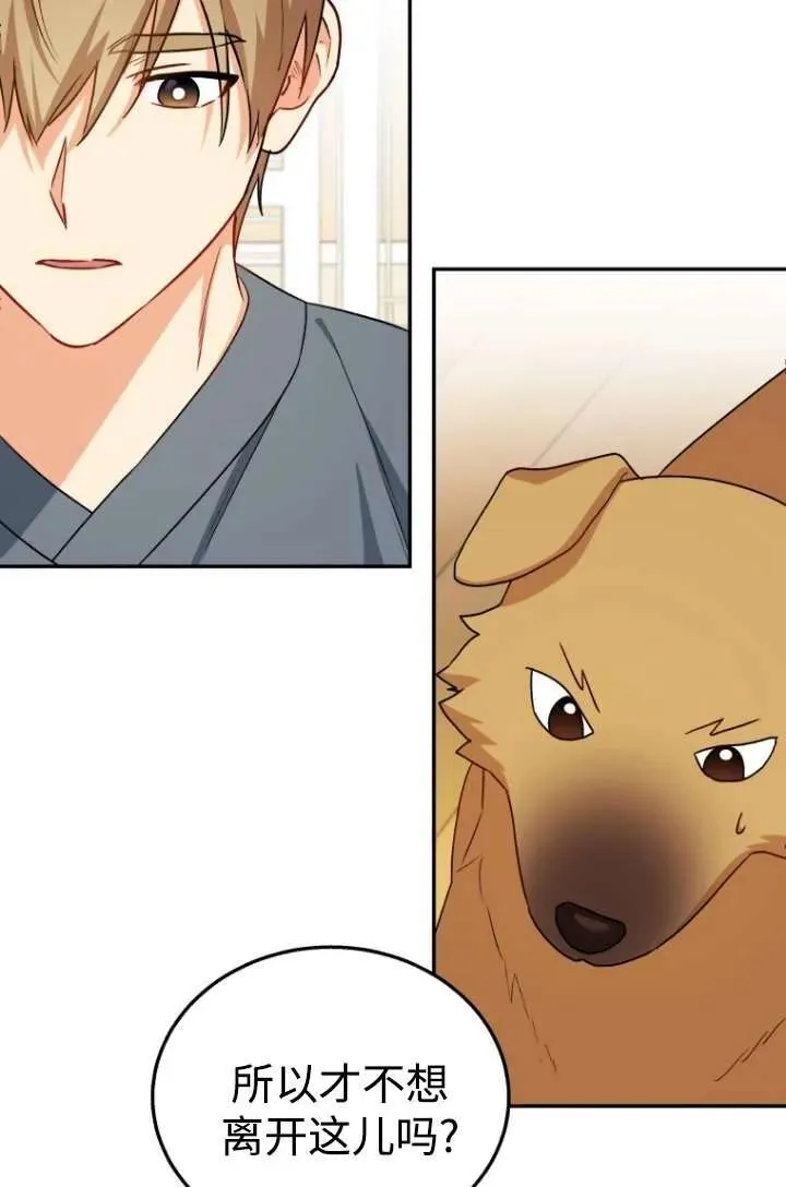 兽医先生你好是双男主吗漫画,第19话1图