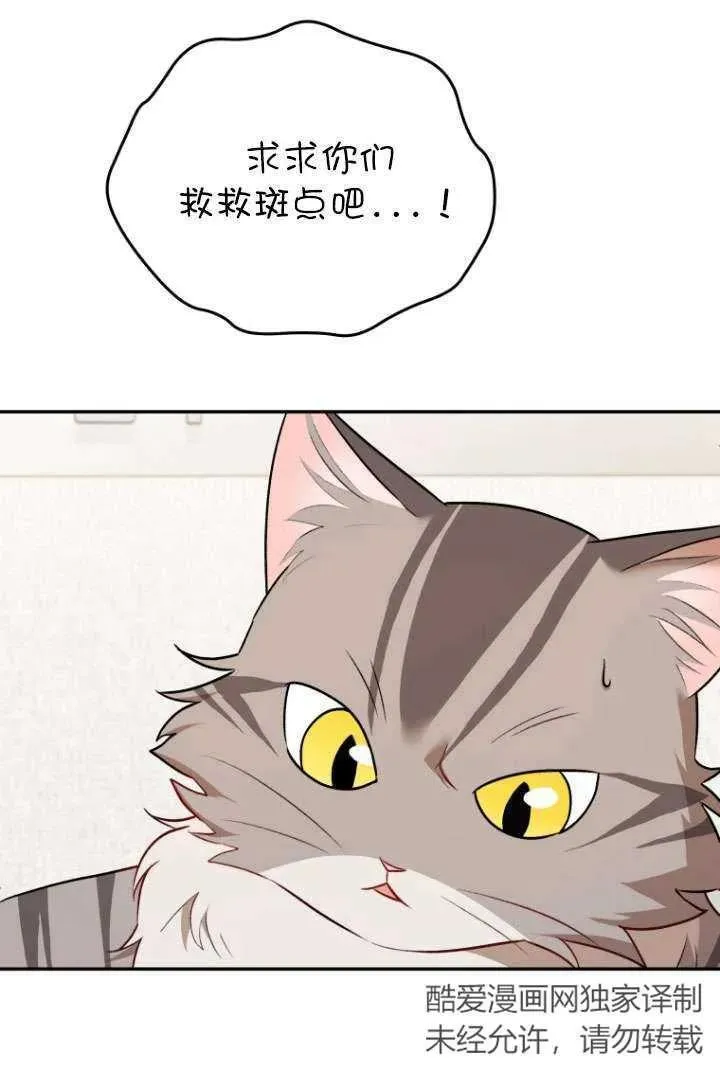 兽医先生！你好？漫画,第25话1图
