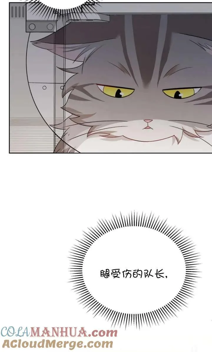 收衣先生漫画,第15话1图