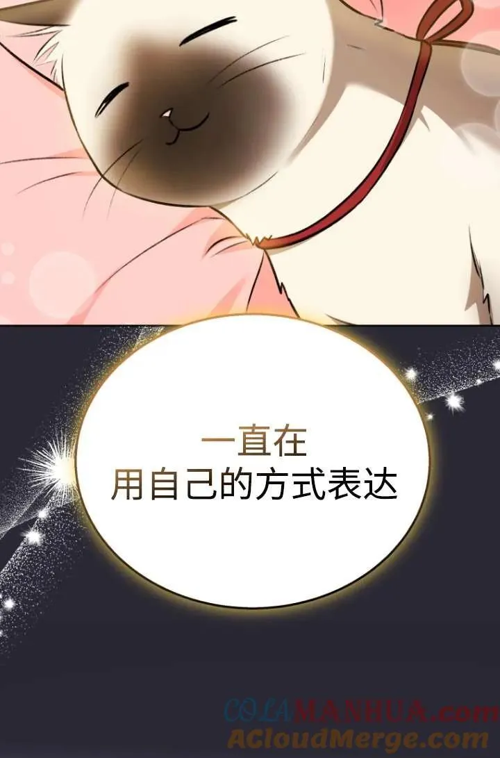 兽医先生你好小说漫画,第33话2图