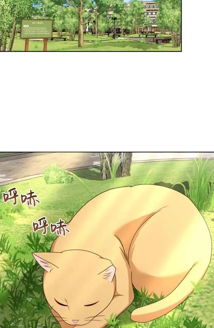 兽医先生你好漫画,第21话1图