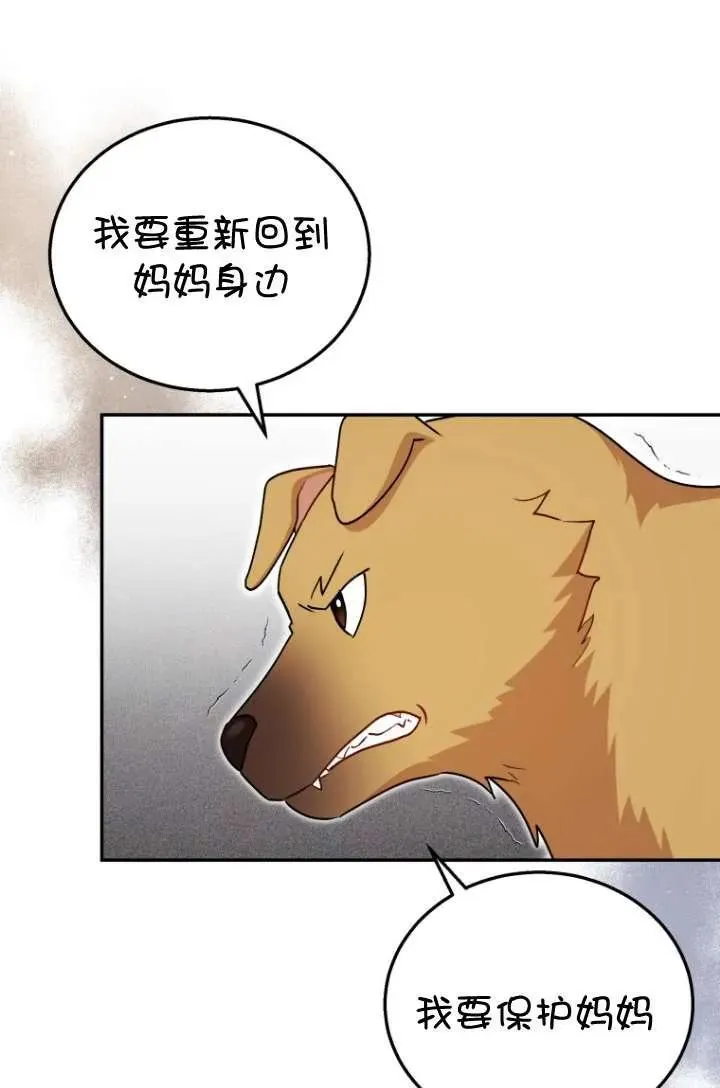 兽医先生！你好？漫画,第19话1图