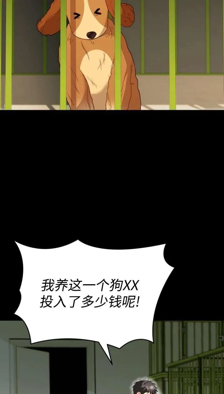 兽医先生！你好？漫画,第43话2图