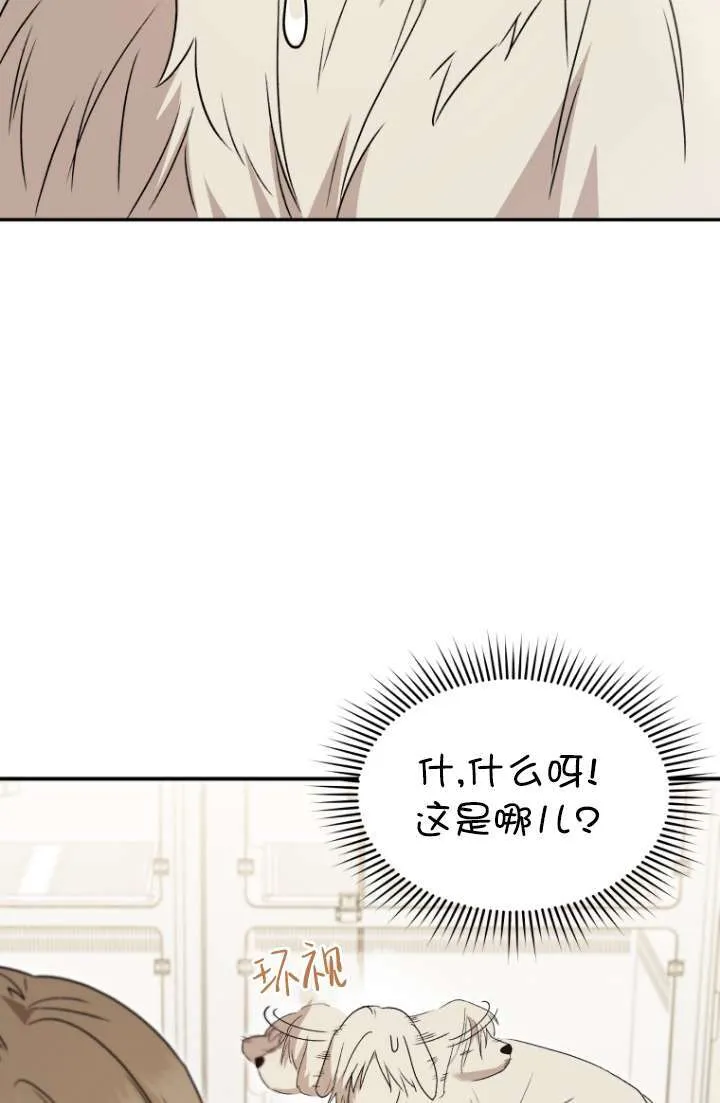 收衣先生漫画,第49话2图