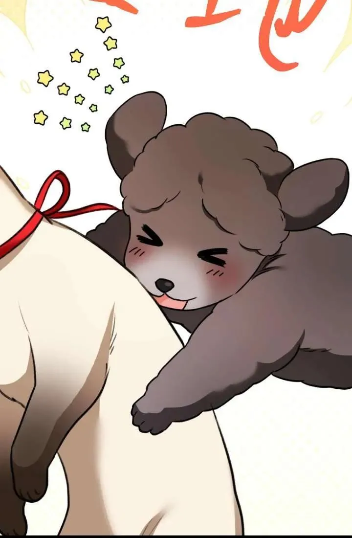 兽医先生你好是双男主吗漫画,第34话1图