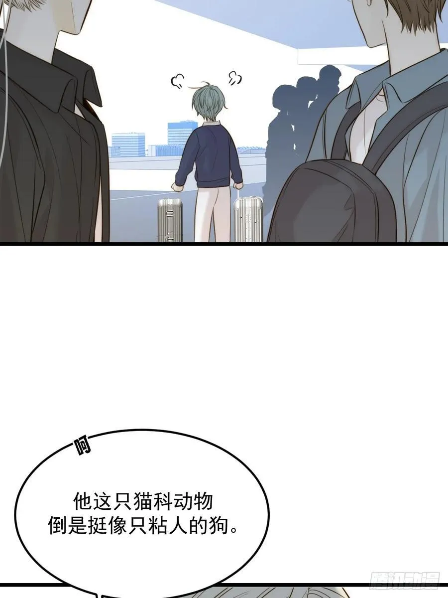 只有尾巴的菜叫什么漫画,家里多了两只？2图