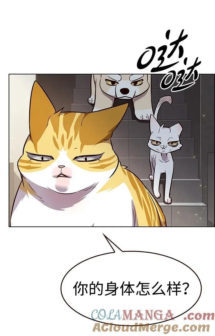 觉醒吧铲屎官335漫画,第337话2图