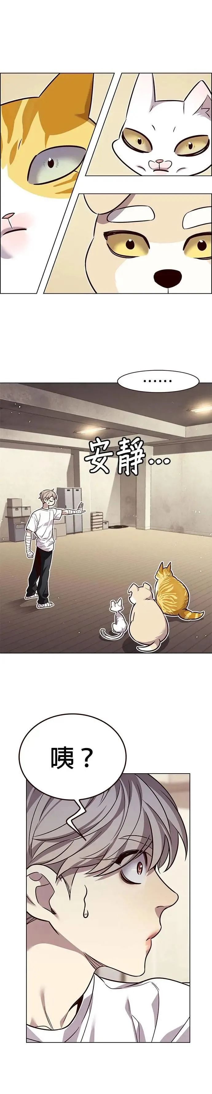 觉醒吧铲屎官196集漫画,第330话1图