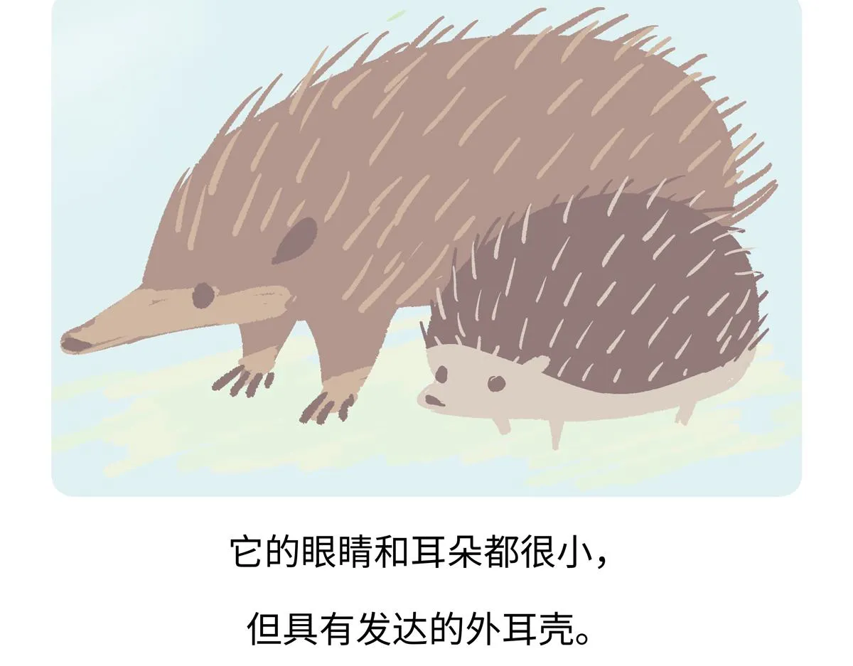 胖达熊猫棒球漫画,第255话2图