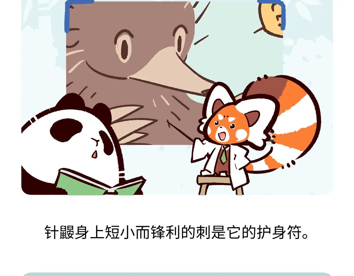 胖达熊猫棒球漫画,第255话2图