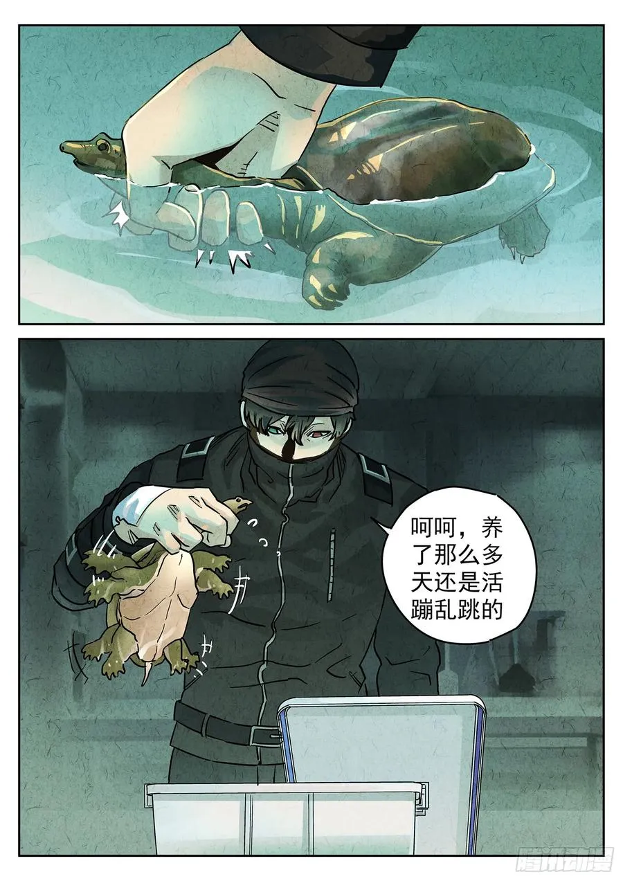 极刑·饭漫画,第四一话 陶锅甲鱼和甲鱼粥（五）2图