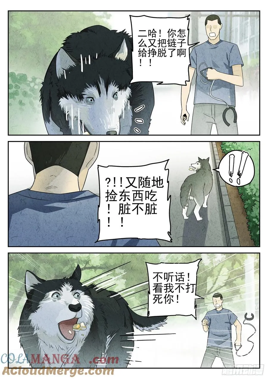 极刑·饭漫画,第二十一话 最完美的煎蛋（二）1图