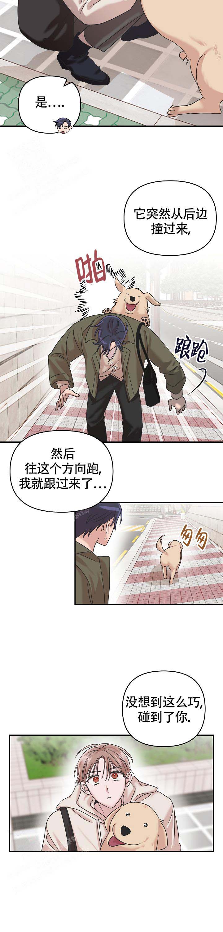 免费我的嗜血竹马漫画漫画,第17话1图