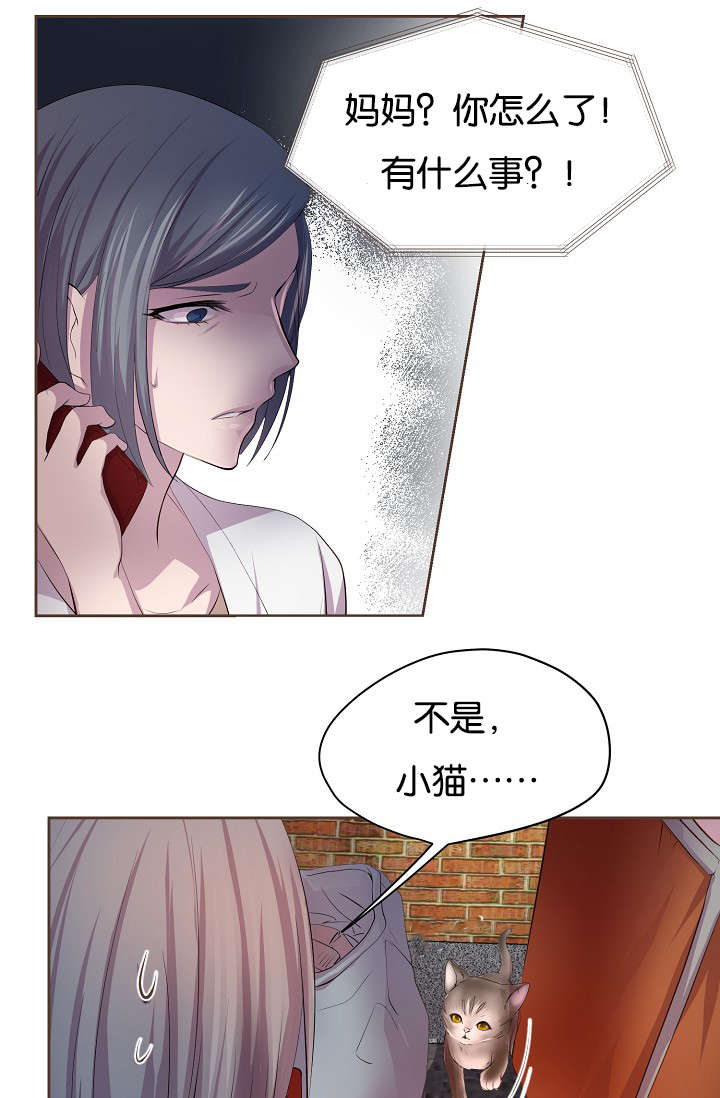 升温天气预报最新漫画,第74话1图