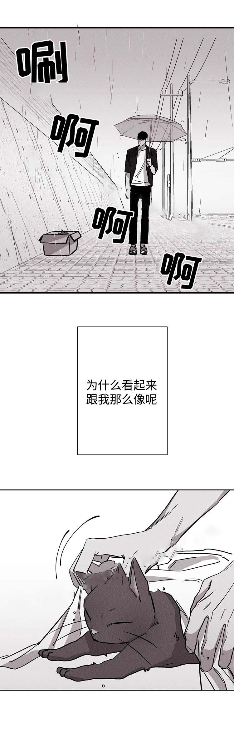 重逢自有天意小说全文漫画,第19话1图