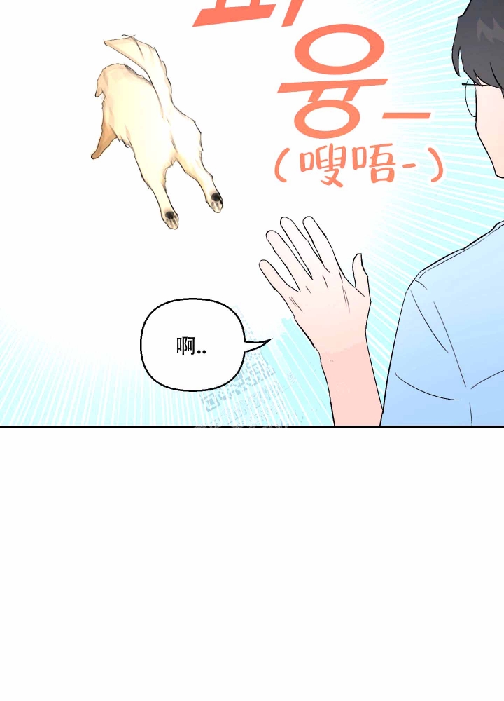 汪汪男神漫画,第5话2图