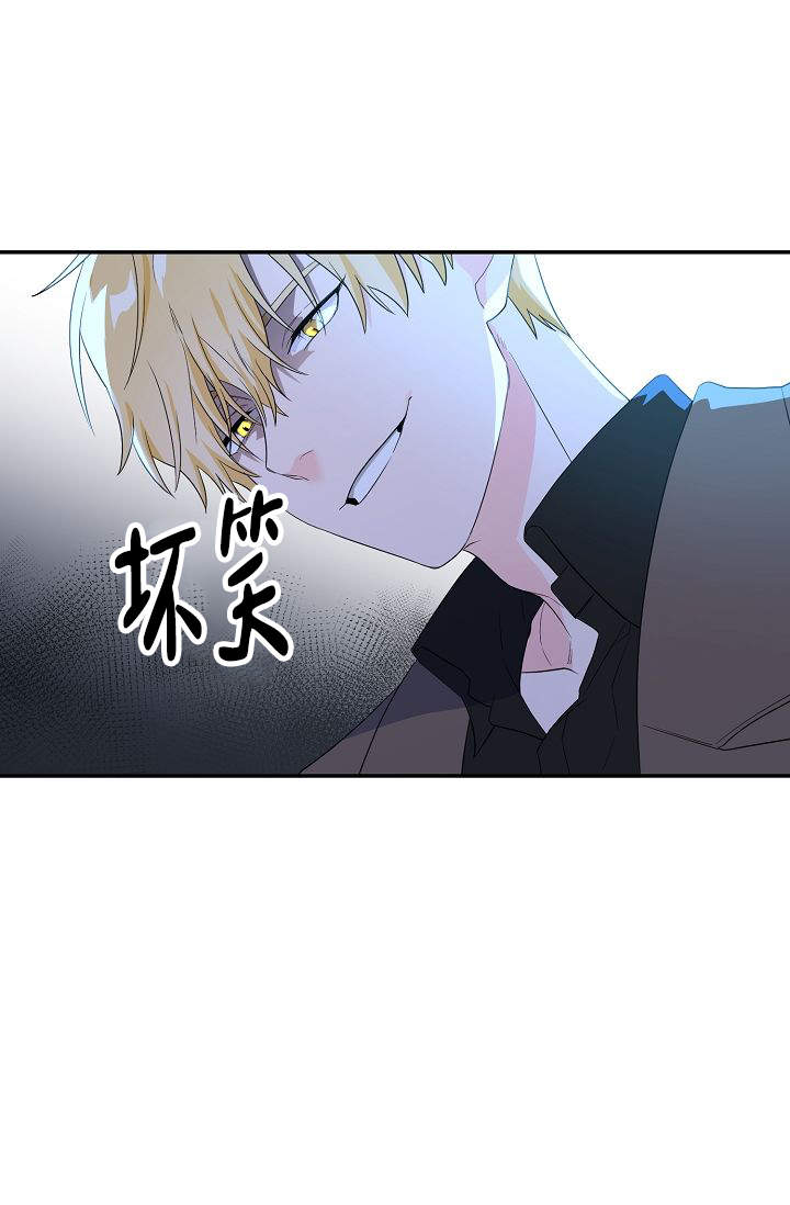 老虎花豹漫画,第6话1图