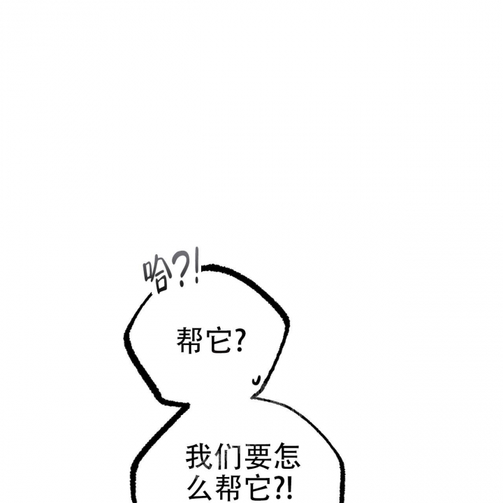  夏菲菲的兔子漫画,第80话1图