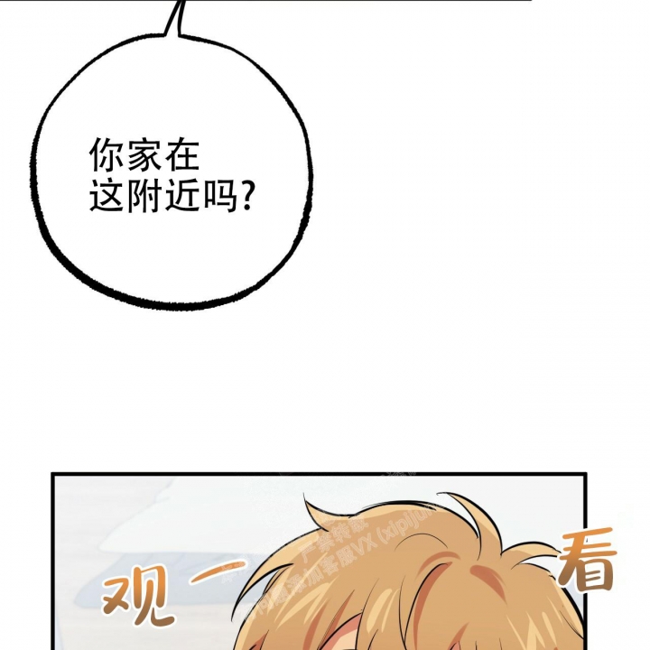  夏菲菲的兔子漫画,第97话1图