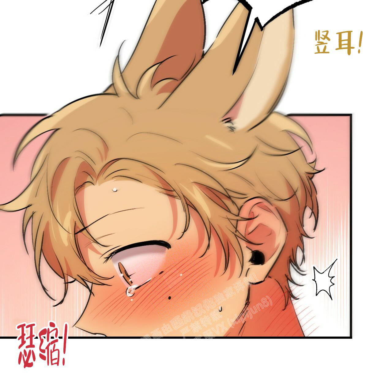  夏菲菲的兔子漫画,第105话2图