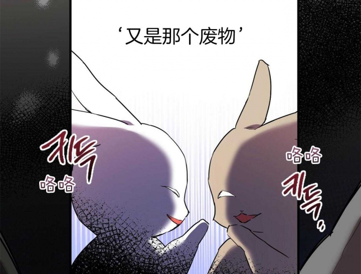  夏菲菲的兔子漫画,第14话1图