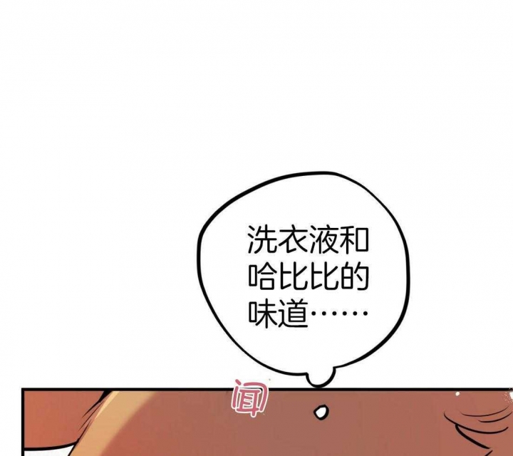  夏菲菲的兔子漫画,第51话1图