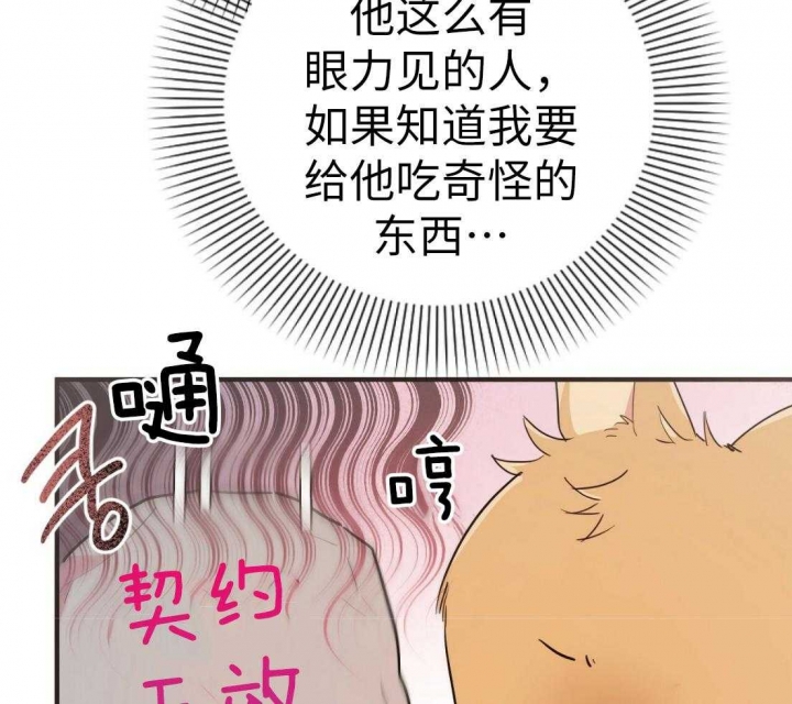  夏菲菲的兔子漫画,第36话1图