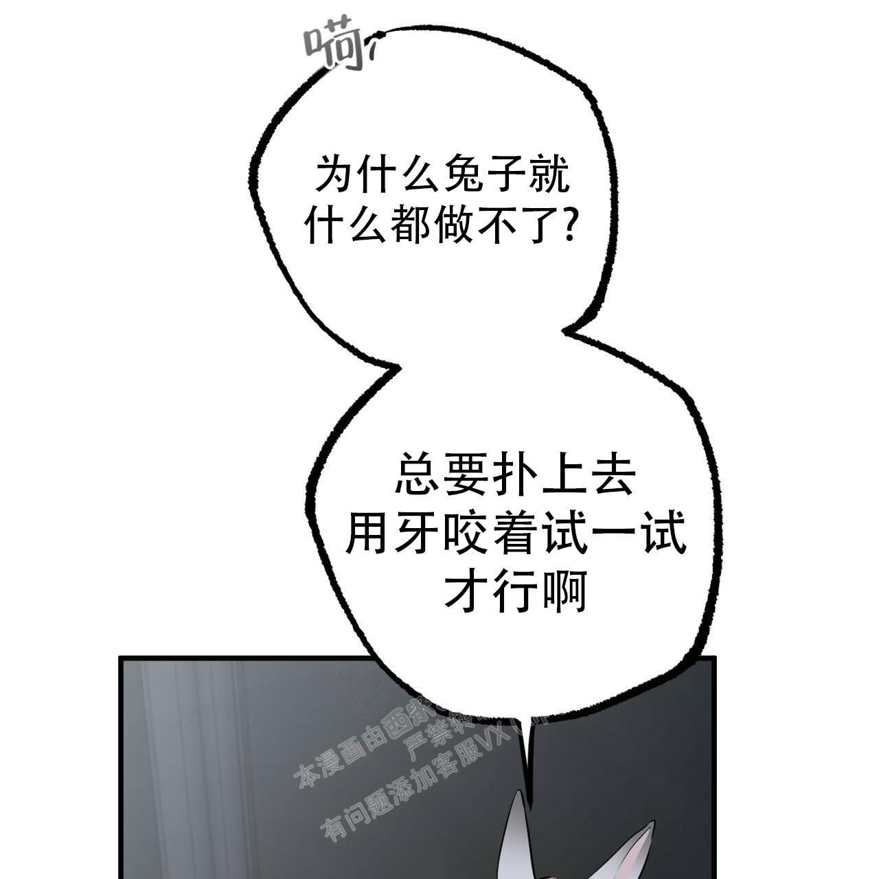  夏菲菲的兔子漫画,第111话1图