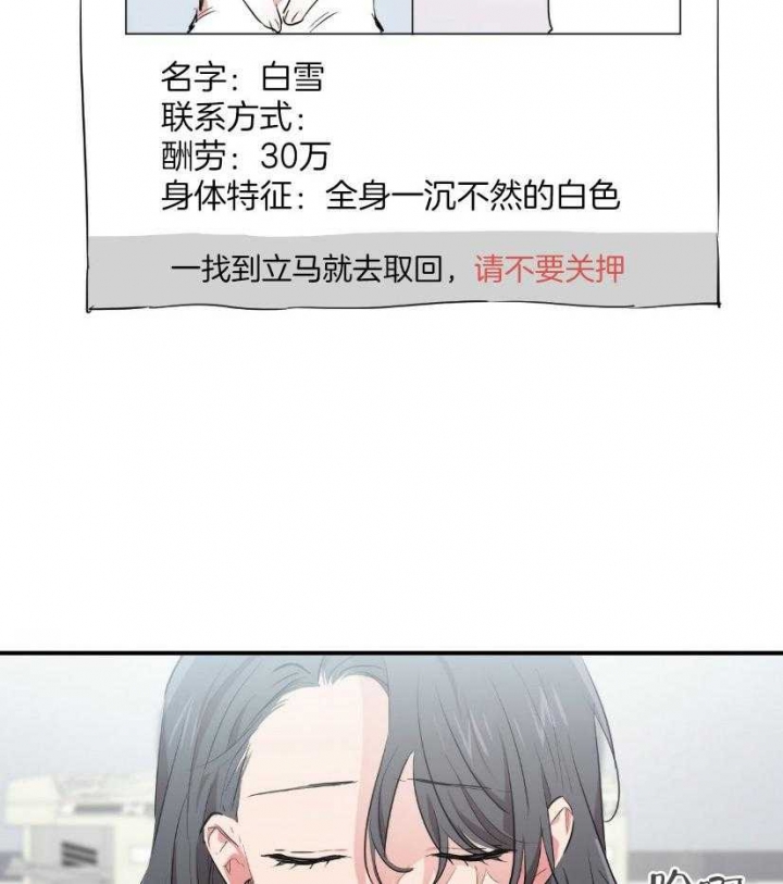  夏菲菲的兔子漫画,第57话2图