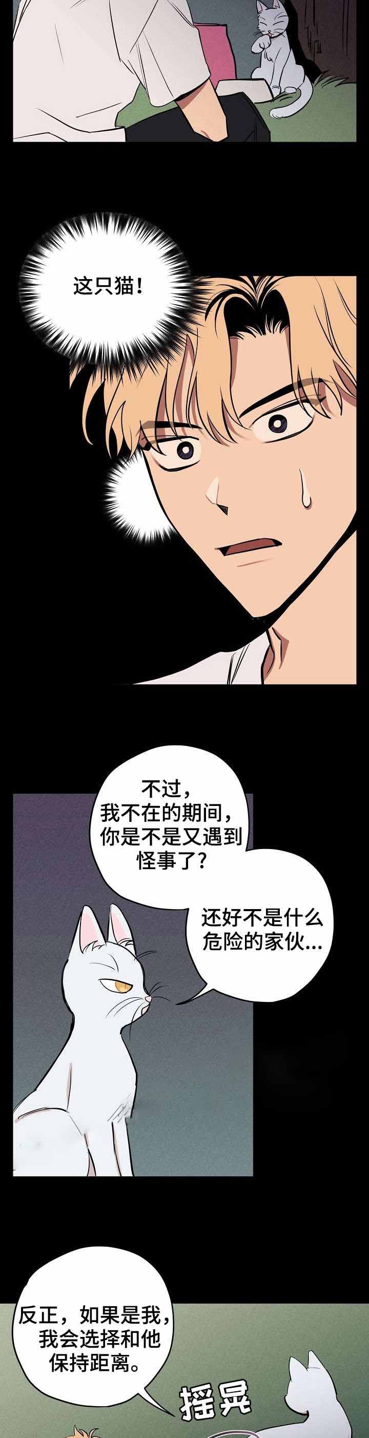 金星的轨迹漫画,第10话1图