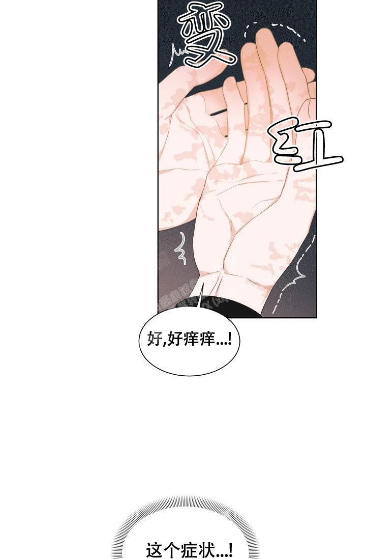 曼哈顿罗曼史在线观看漫画,第11话1图