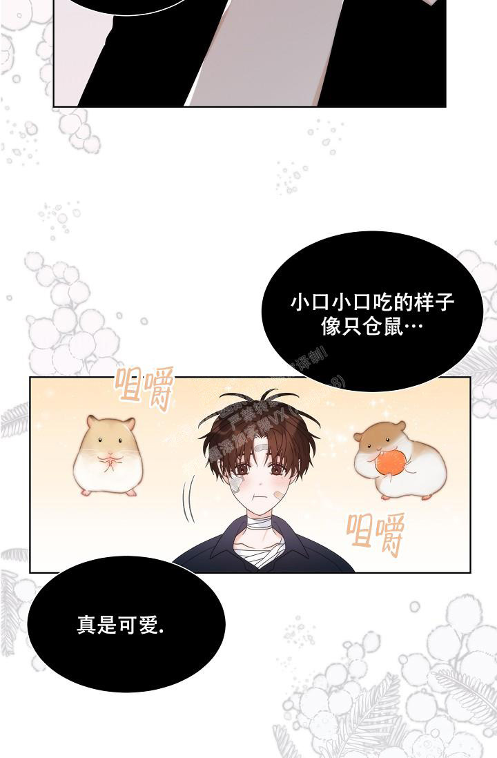 曼哈顿罗曼史动漫漫画,第37话1图