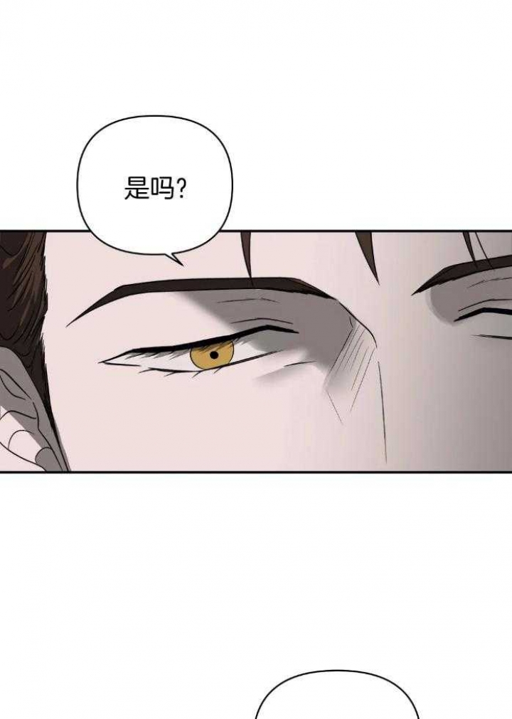 修车危情是由小说改编的吗漫画,第71话2图