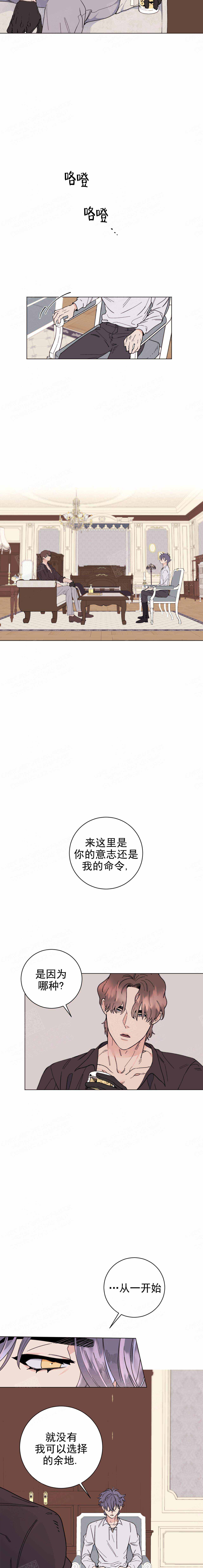 宠爱主人漫画21话漫画,第11话2图