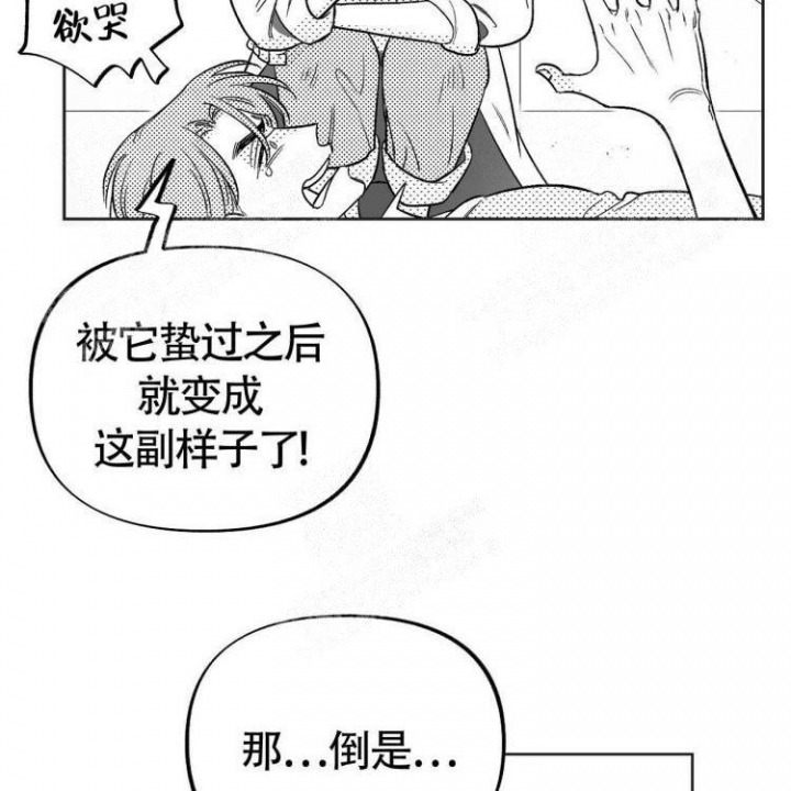 本能3莎朗斯通原版电影漫画,第5话2图