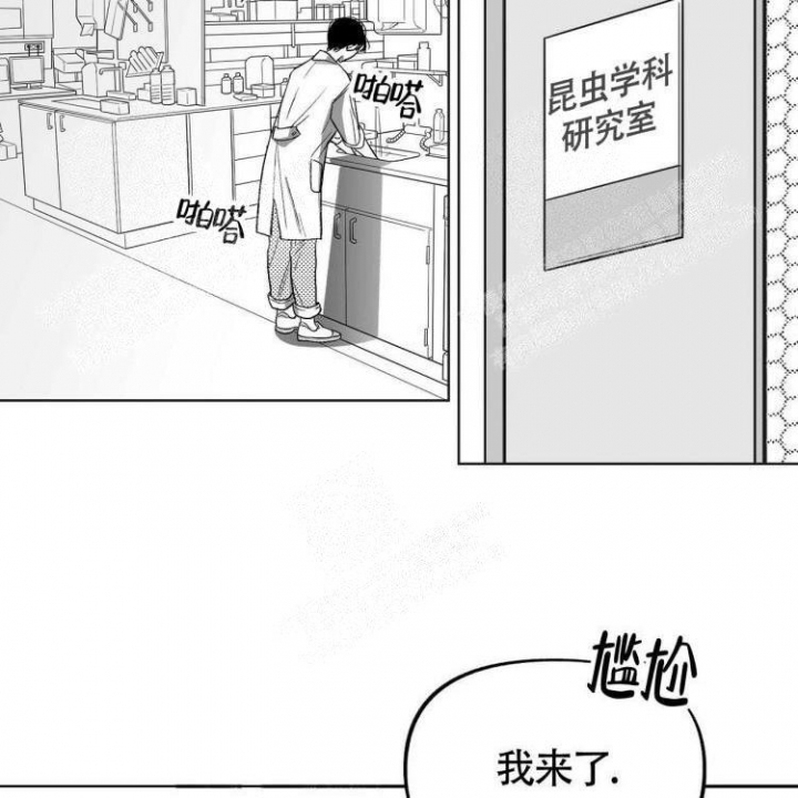 本能效应漫画,第4话2图