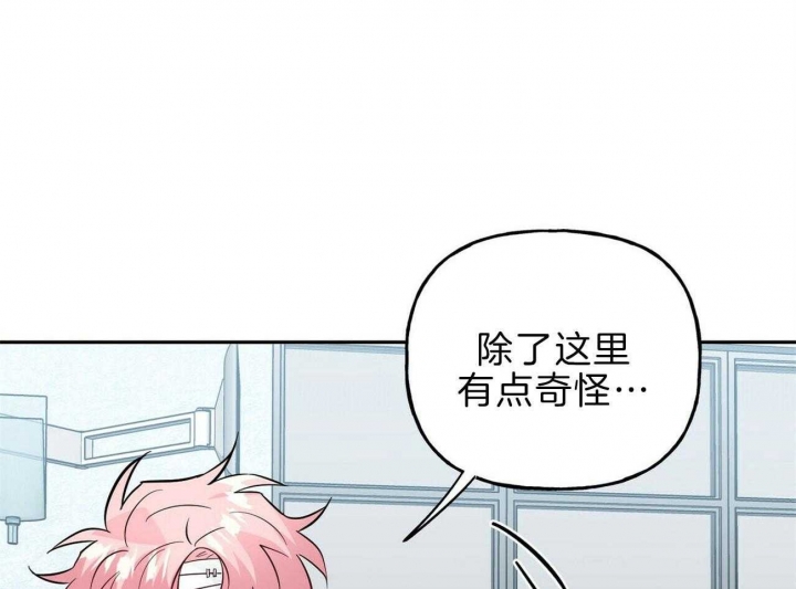 疯子与疯子韩漫完整观看漫画,第117话2图