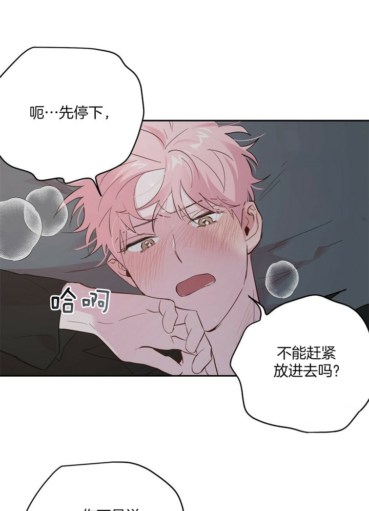 疯子与疯子漫画第一季+第二季完整版(共2季)在线阅读漫画,第70话1图