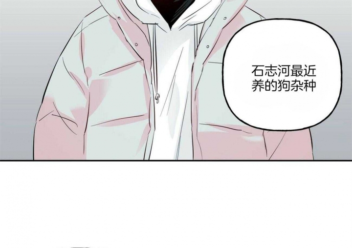 疯子与疯子漫画在哪里看漫画,第101话2图