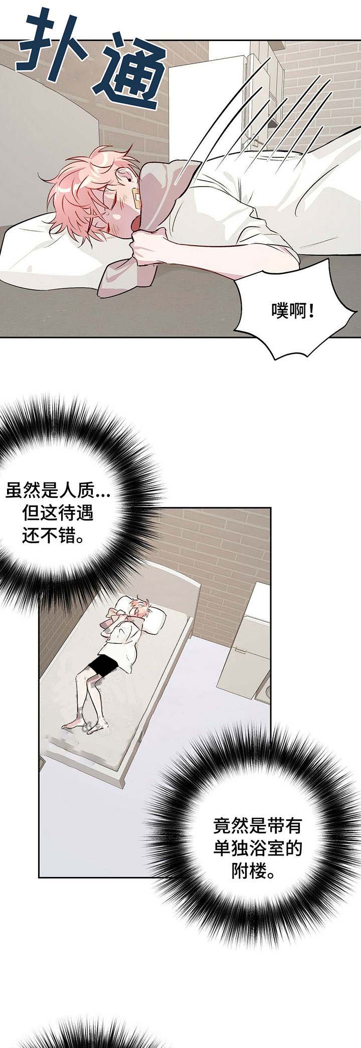 疯子与疯子小说漫画,第29话1图