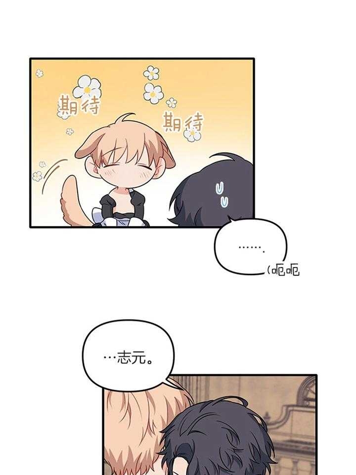 血与爱漫画,第72话1图