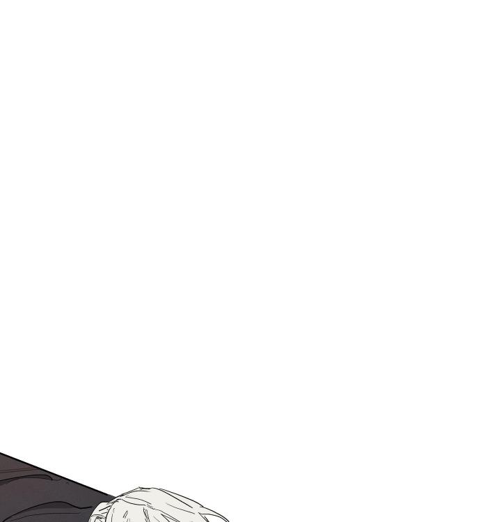 傲慢的奥托一世完整版漫画,第21话1图
