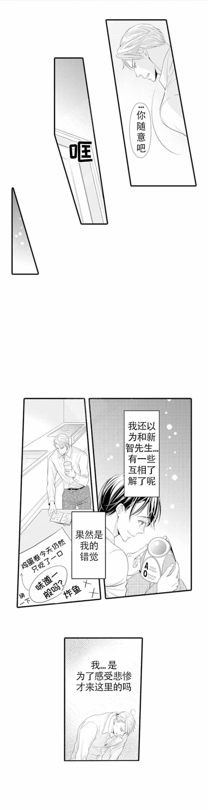 虚假夫妇结局漫画,第9话1图