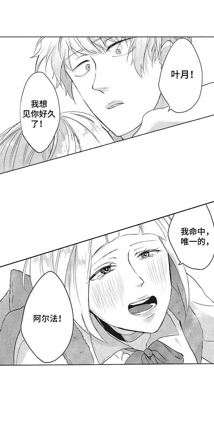 我的命中伴侣第二话漫画,第9话1图