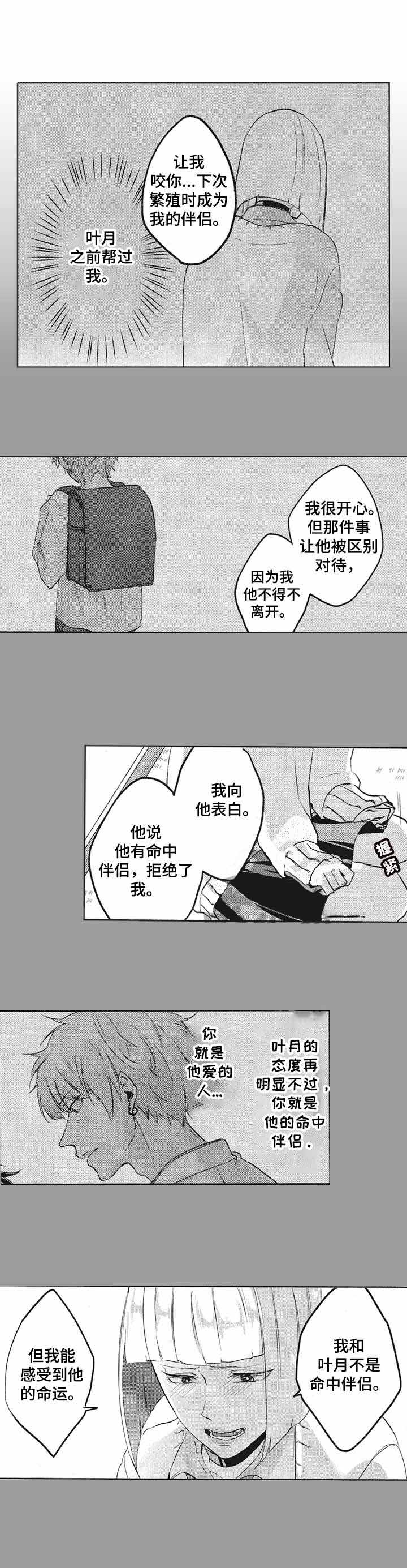 你好我命中的伴侣漫画漫画,第13话2图