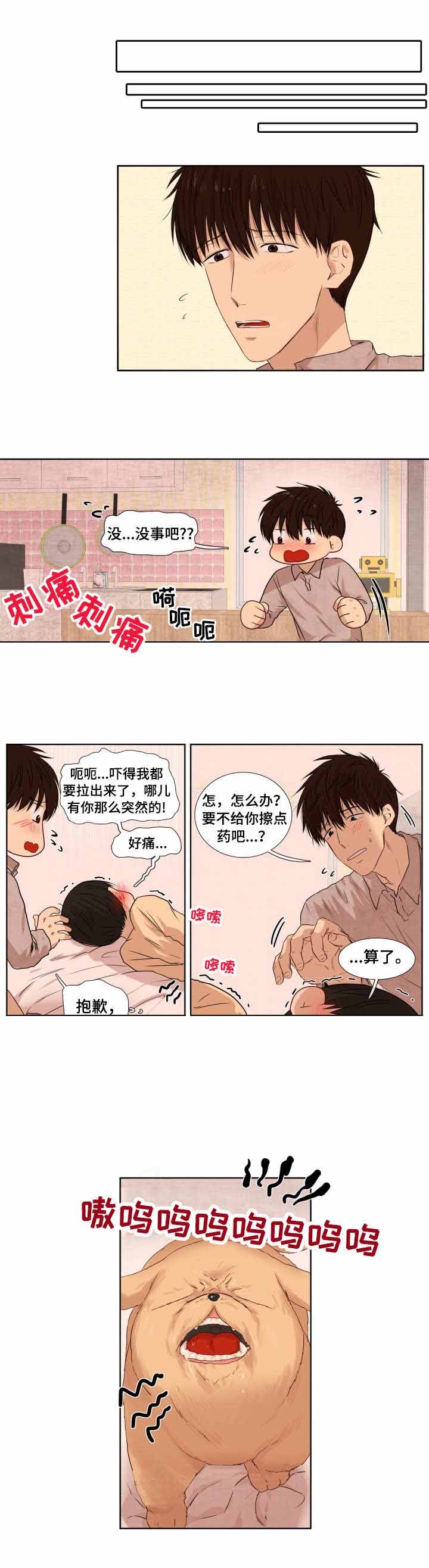 领养之恩图片大全漫画,第9话1图