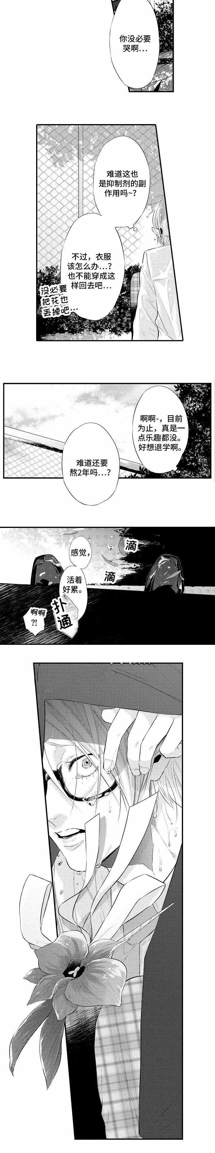 花香诗歌漫画,第3话2图