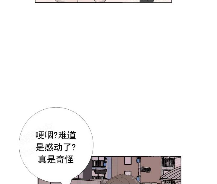 爱情与激情免费漫画,第26话2图